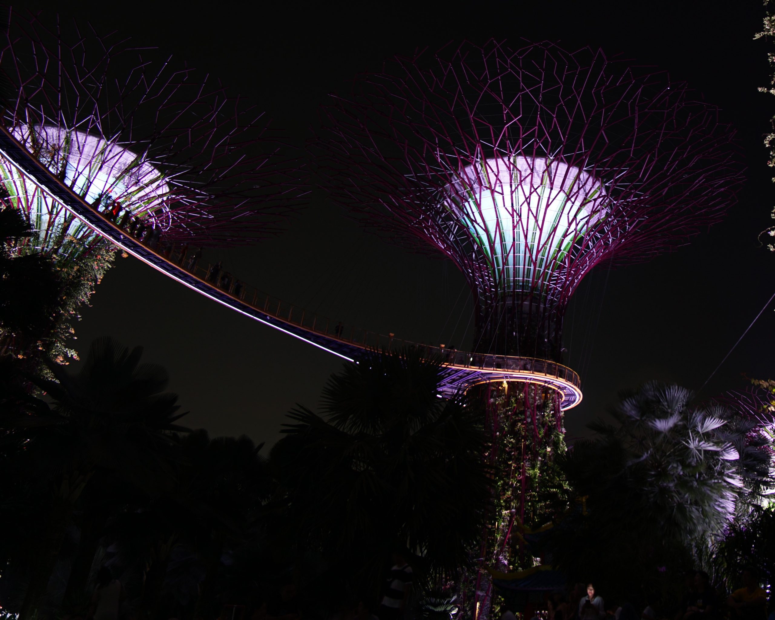 Komunikacja miejska w Singapurze, czyli po prostu jedź!