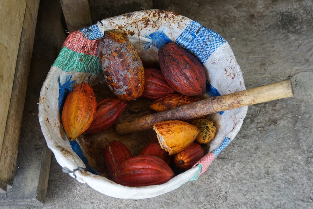 Wiadro owoców z bambusowym kijem.