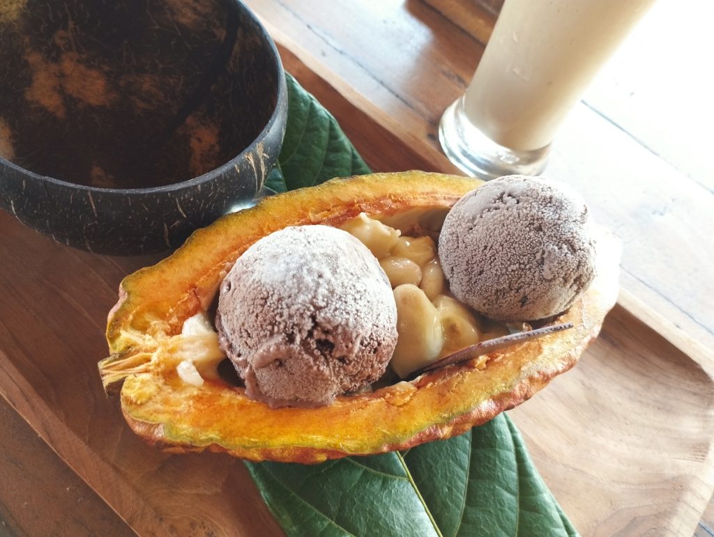 Lody w łupinie kakaowca.