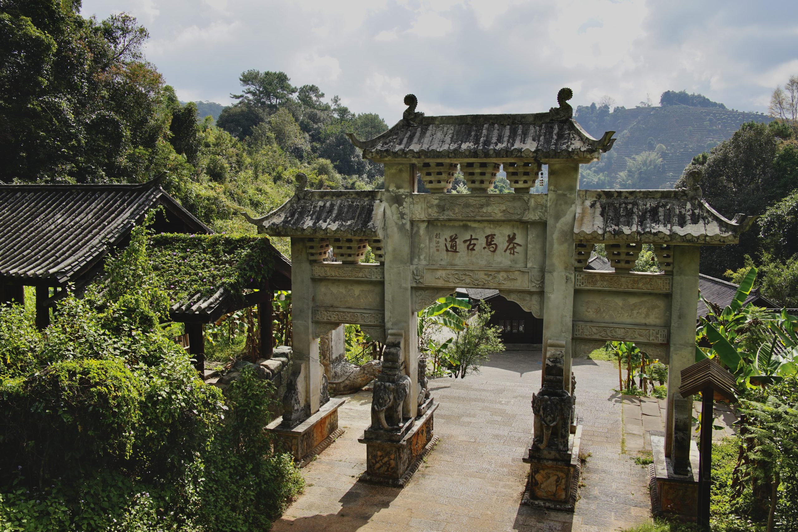 Pu`er i Szlak Herbaciano – Konny