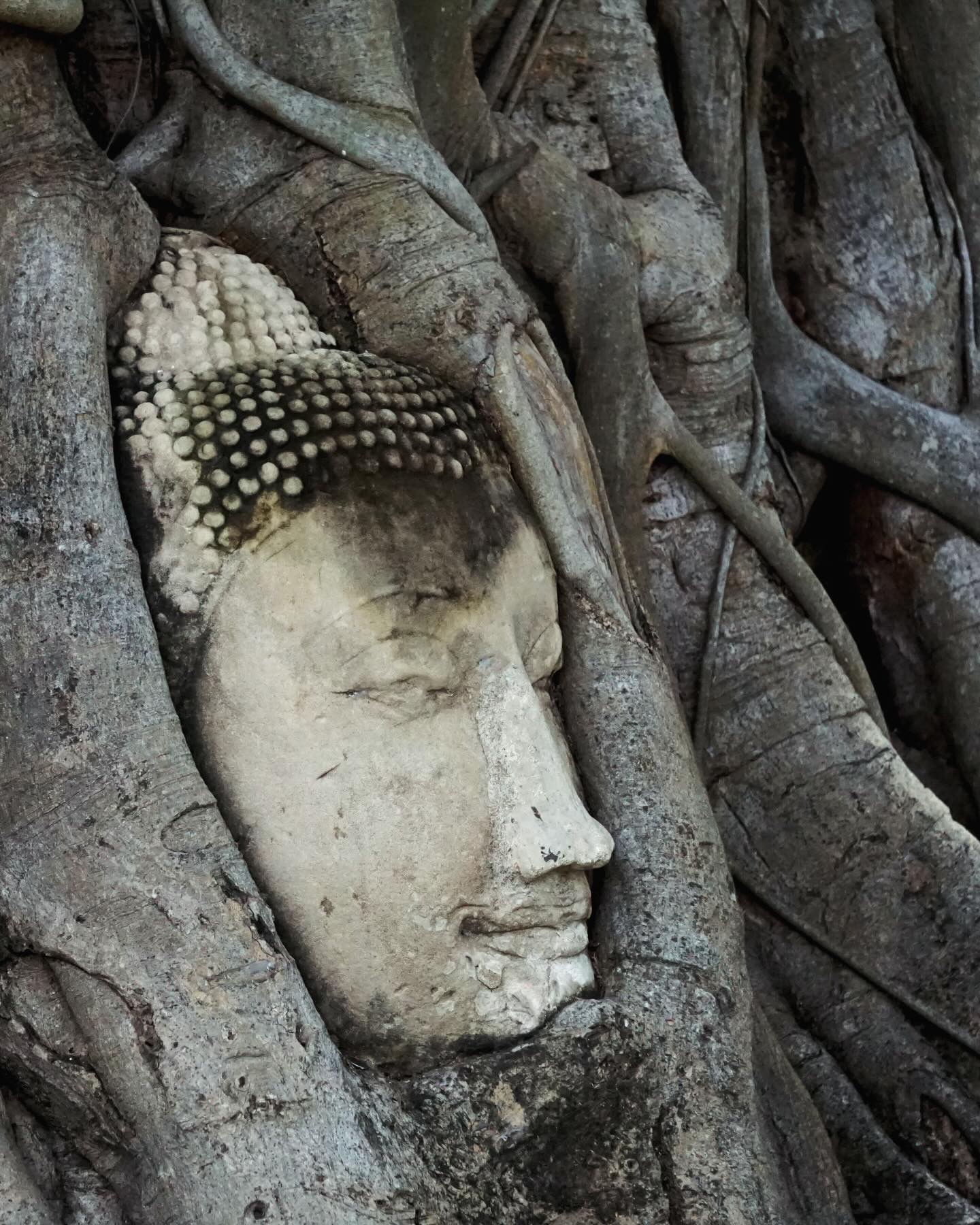 Ayutthaya – ruiny dawnej stolicy Syjamu