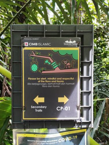 Znak ostrzegający przed dzikimi zwierzętami i spadającymi owocami